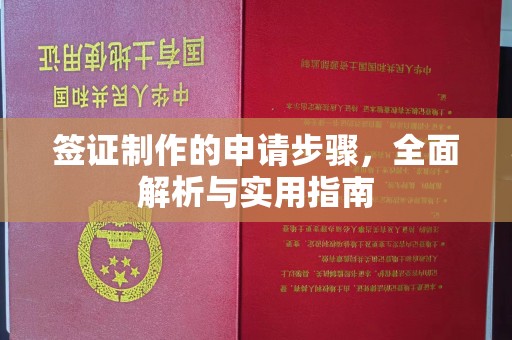 山丹签证制作的申请步骤，全面解析与实用指南